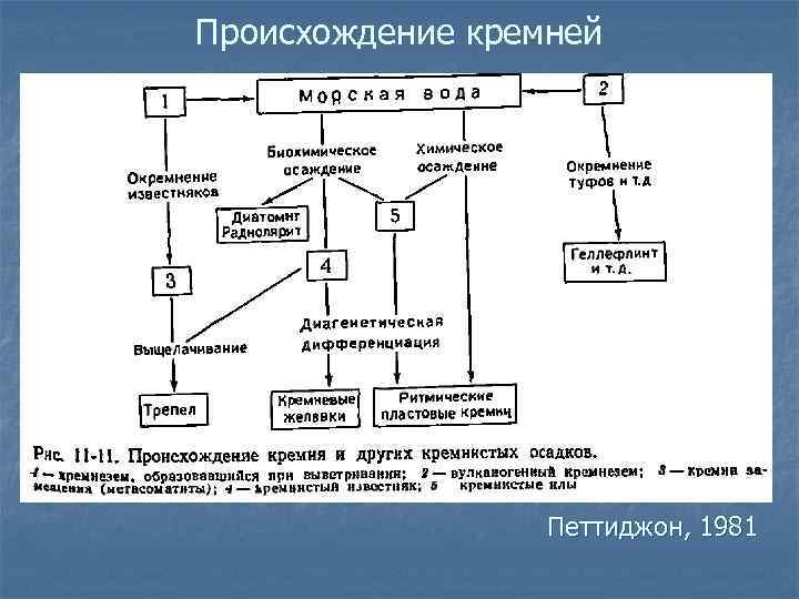 Происхождение кремней Петтиджон, 1981 