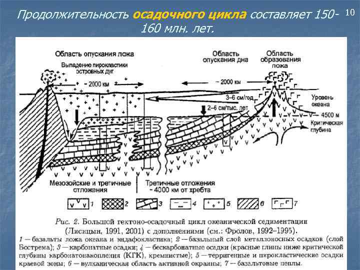 Продолжительность осадочного цикла составляет 150160 млн. лет. 10 