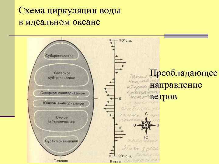 Схема циркуляции воды в идеальном океане Преобладающее направление ветров 