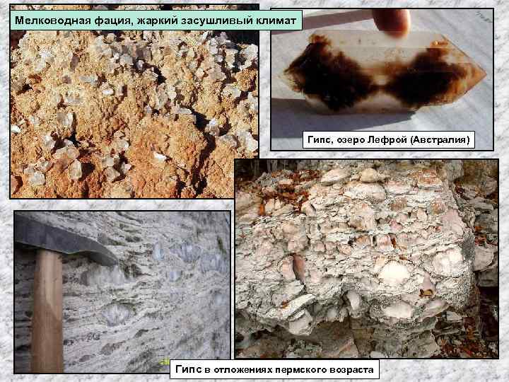 Мелководная фация, жаркий засушливый климат Гипс, озеро Лефрой (Австралия) Гипс в отложениях пермского возраста