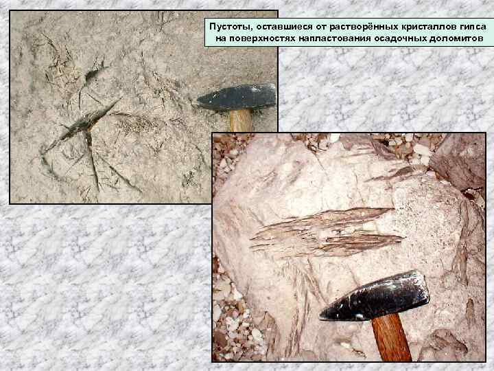 Пустоты, оставшиеся от растворённых кристаллов гипса на поверхностях напластования осадочных доломитов 