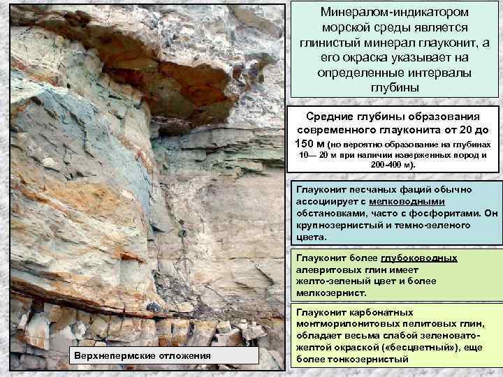 Минералом-индикатором морской среды является глинистый минерал глауконит, а его окраска указывает на определенные интервалы