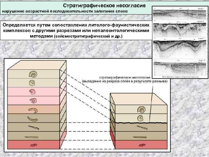Стратиграфическое несогласие нарушение возрастной последовательности залегания слоев Определяется путем сопоставления литолого-фаунистических комплексов с другими