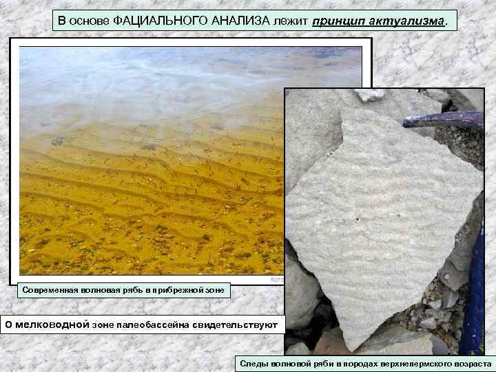 В основе ФАЦИАЛЬНОГО АНАЛИЗА лежит принцип актуализма. Современная волновая рябь в прибрежной зоне О