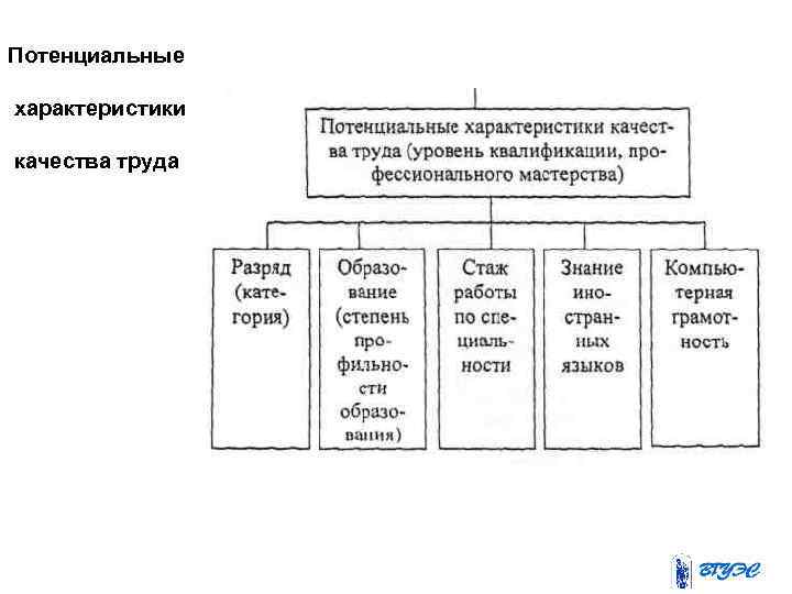 Потенциальные характеристики качества труда 