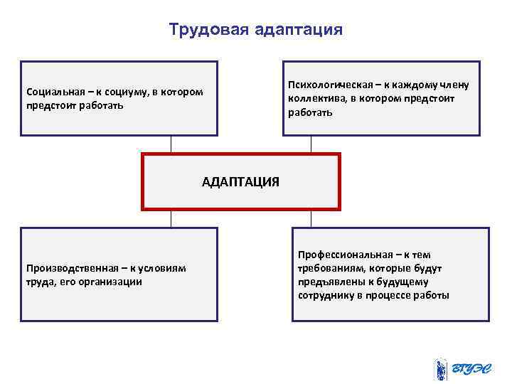 Адаптация в трудовом коллективе презентация