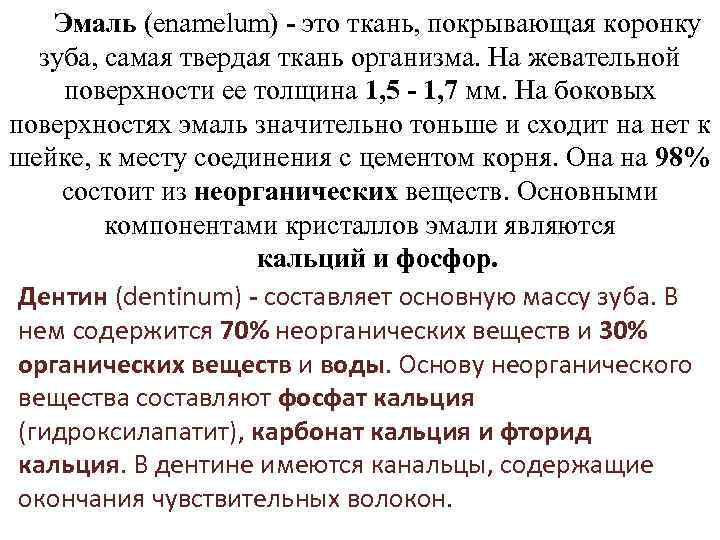 Эмаль (enamelum) - это ткань, покрывающая коронку зуба, самая твердая ткань организма. На жевательной