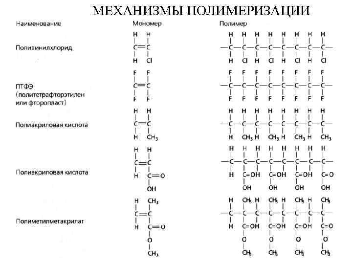 МЕХАНИЗМЫ ПОЛИМЕРИЗАЦИИ 