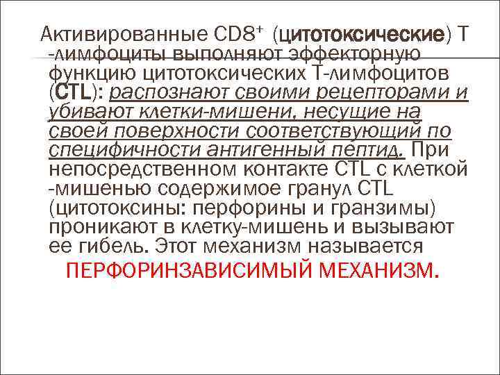 Активированные СD 8+ (цитотоксические) Т -лимфоциты выполняют эффекторную функцию цитотоксических Т-лимфоцитов (СТL): распознают своими