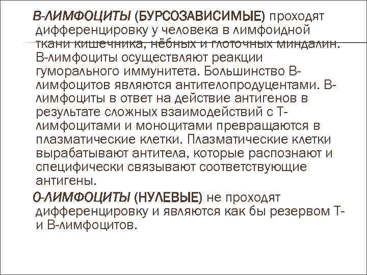 В-ЛИМФОЦИТЫ (БУРСОЗАВИСИМЫЕ) проходят дифференцировку у человека в лимфоидной ткани кишечника, нёбных и глоточных миндалин.