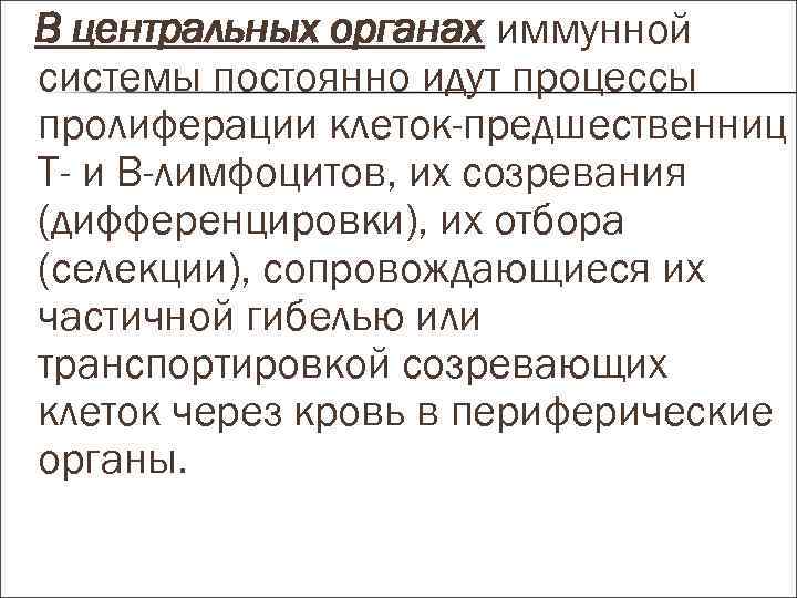 В центральных органах иммунной системы постоянно идут процессы пролиферации клеток-предшественниц Т- и В-лимфоцитов, их