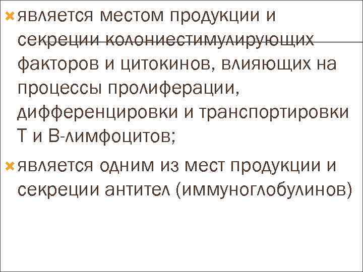  является местом продукции и секреции колониестимулирующих факторов и цитокинов, влияющих на процессы пролиферации,