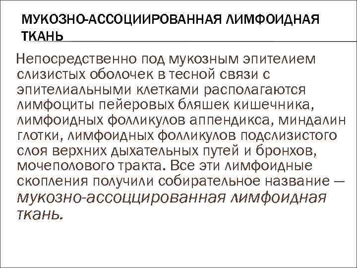 МУКОЗНО-АССОЦИИРОВАННАЯ ЛИМФОИДНАЯ ТКАНЬ Непосредственно под мукозным эпителием слизистых оболочек в тесной связи с эпителиальными