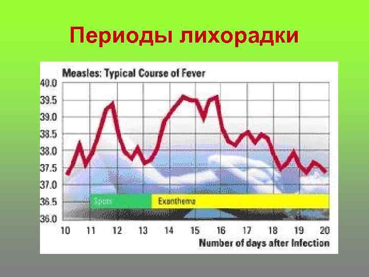 Периоды лихорадки 