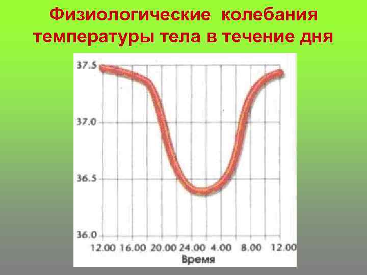 Физиологические колебания температуры тела в течение дня 