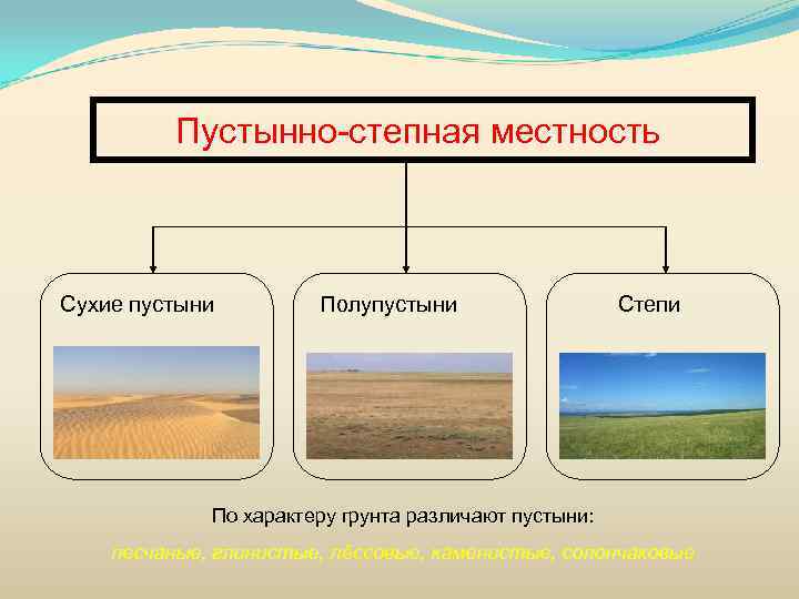 Пустынно степная местность Сухие пустыни Полупустыни Степи По характеру грунта различают пустыни: песчаные, глинистые,