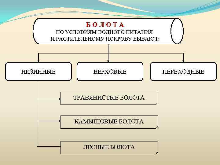 БОЛОТА ПО УСЛОВИЯМ ВОДНОГО ПИТАНИЯ И РАСТИТЕЛЬНОМУ ПОКРОВУ БЫВАЮТ: НИЗИННЫЕ ВЕРХОВЫЕ ТРАВЯНИСТЫЕ БОЛОТА КАМЫШОВЫЕ