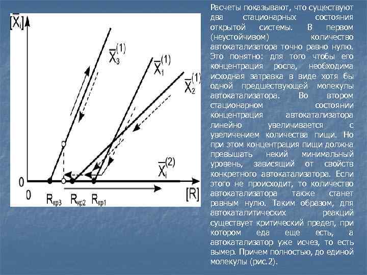 Расчеты показывают, что существуют два стационарных состояния открытой системы. В первом (неустойчивом) количество автокатализатора