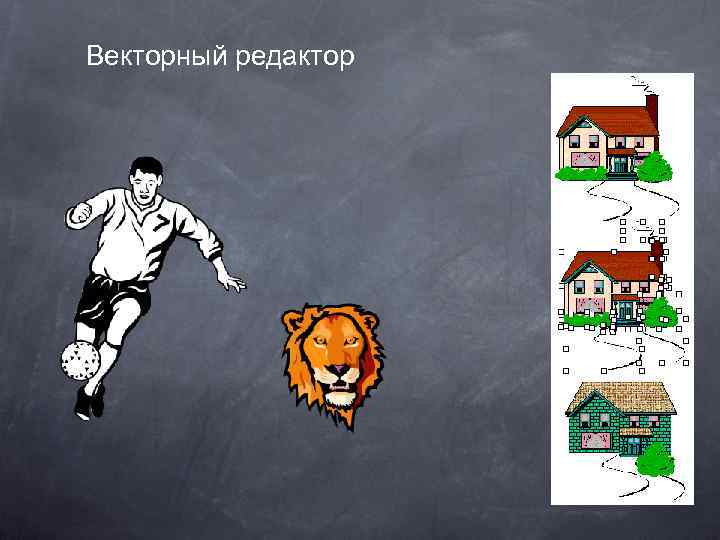 Векторный редактор 
