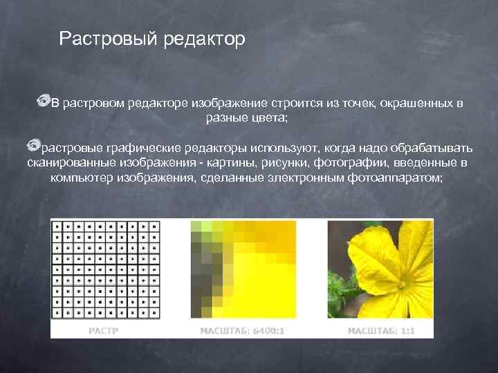 Растровый редактор В растровом редакторе изображение строится из точек, окрашенных в разные цвета; растровые