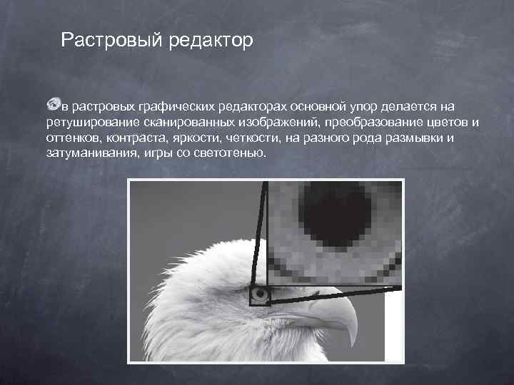 Растровый редактор в растровых графических редакторах основной упор делается на ретуширование сканированных изображений, преобразование