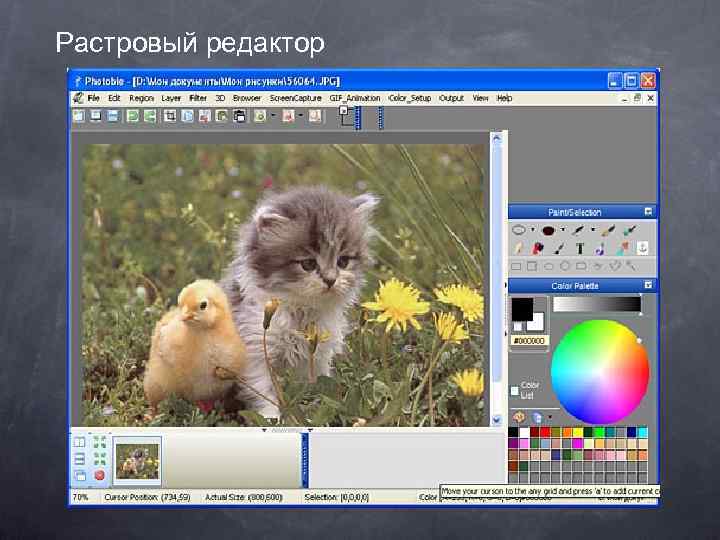 Растровый редактор 