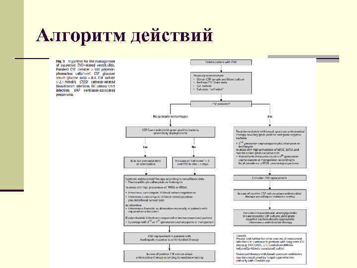 Алгоритм действий 