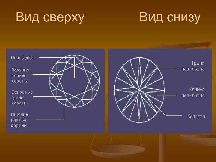 Вид сверху Вид снизу 