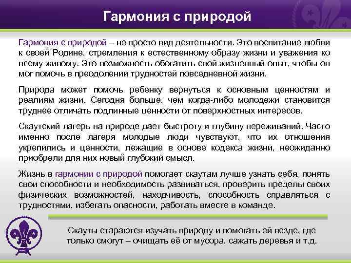 Что дает человеку природа сочинение. Гармония с природой сочинение. Эссе на тему в гармонии с природой. Общение с природой сочинение. Гармония это сочинение.