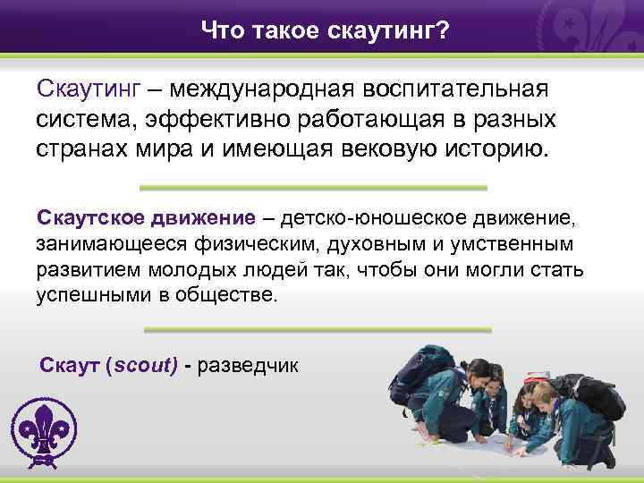 Скаутинг инновационных проектов