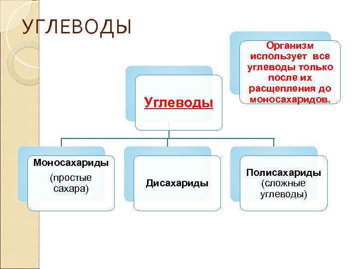 УГЛЕВОДЫ Углеводы Моносахариды (простые сахара) Дисахариды Организм использует все углеводы только после их расщепления