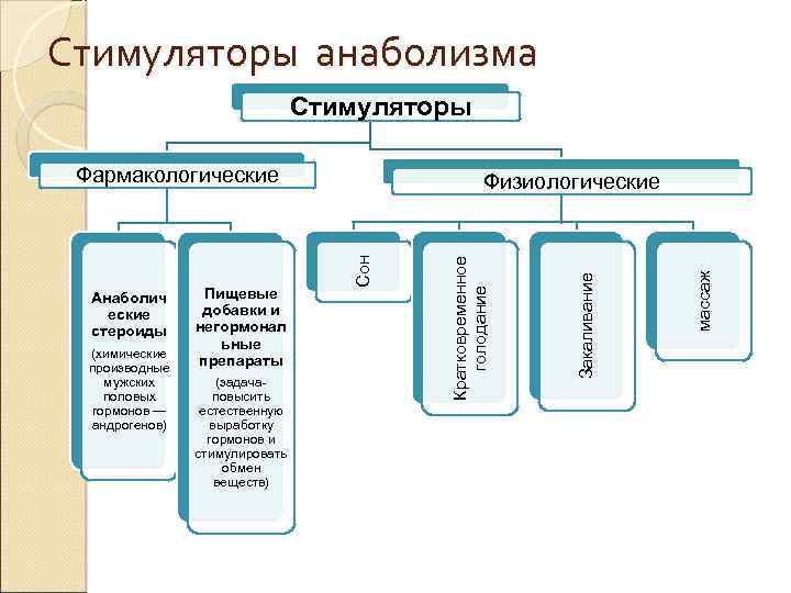 Стимуляторы анаболизма Стимуляторы Фармакологические (задачаповысить естественную выработку гормонов и стимулировать обмен веществ) массаж Сон