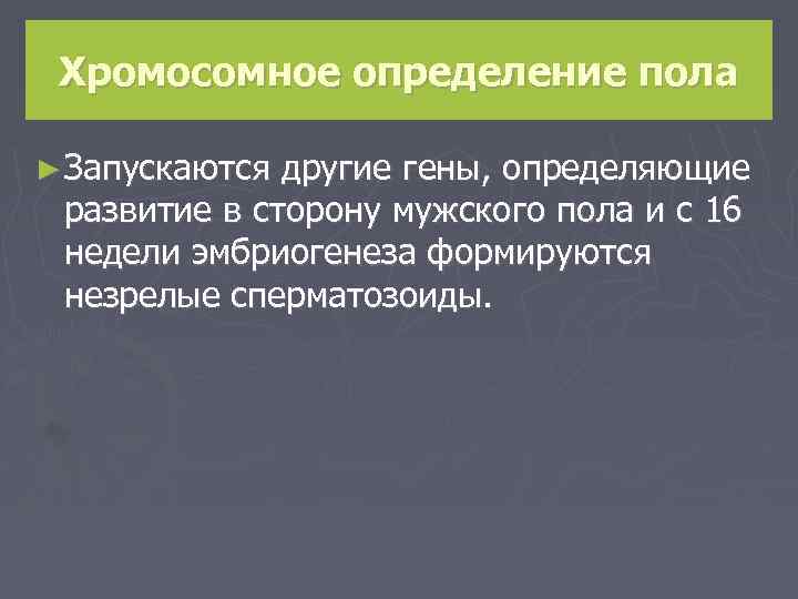 Хромосомное определение пола ► Запускаются другие гены, определяющие развитие в сторону мужского пола и