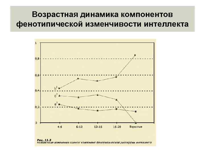 Возрастная динамика компонентов фенотипической изменчивости интеллекта 