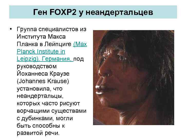 Ген FOXP 2 у неандертальцев • Группа специалистов из Института Макса Планка в Лейпциге