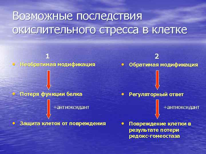 Окислительный стресс. Причины и последствия окислительного стресса. Механизмы защиты от окислительного стресса. Окислительный стресс причины. Факторы развития оксидативного стресса.