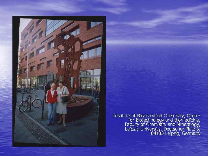  Institute of Bioanalytical Chemistry, Center for Biotechnology and Biomedicine, Faculty of Chemistry and