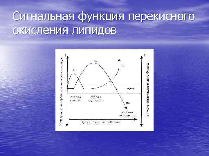 Сигнальная функция перекисного окисления липидов 