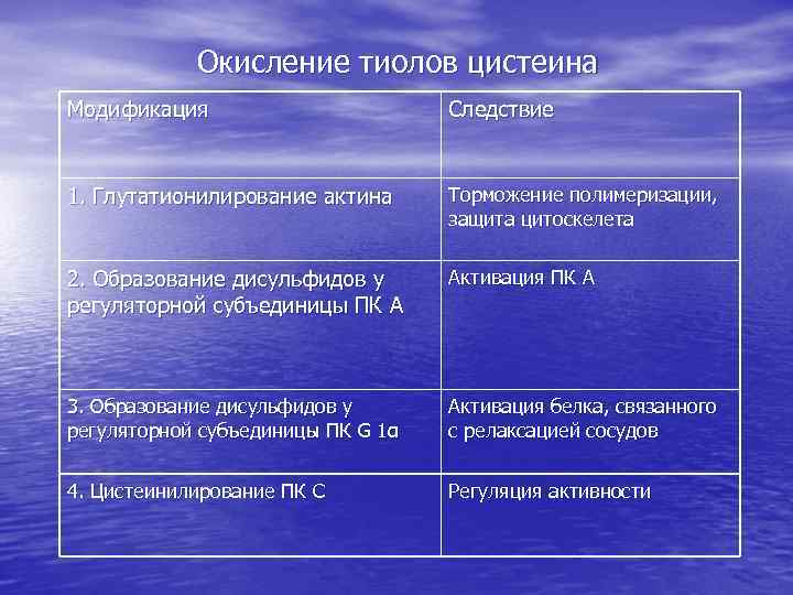 Окисление тиолов цистеина Модификация Следствие 1. Глутатионилирование актина Торможение полимеризации, защита цитоскелета 2. Образование