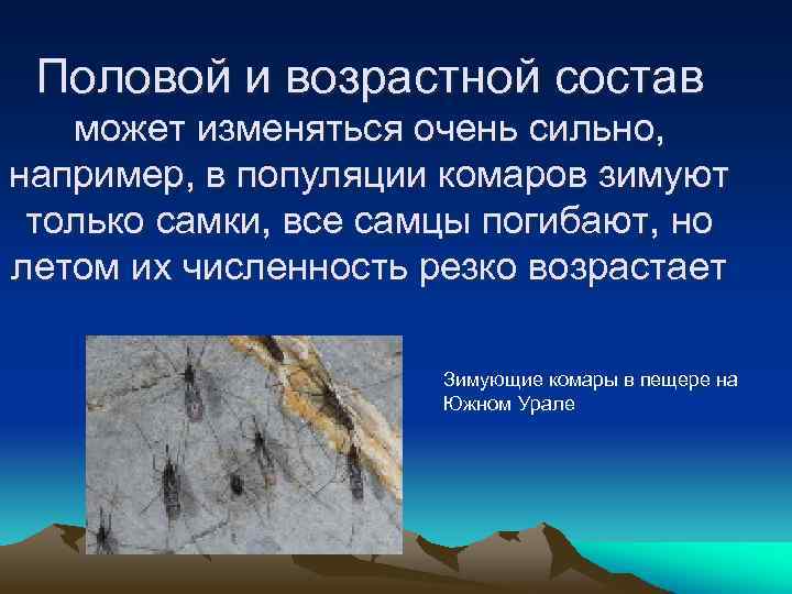 Половой и возрастной состав может изменяться очень сильно, например, в популяции комаров зимуют только