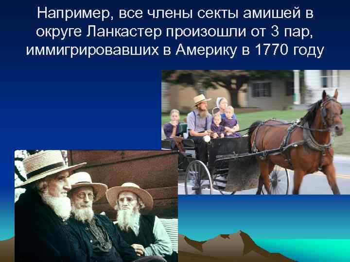 Например, все члены секты амишей в округе Ланкастер произошли от 3 пар, иммигрировавших в