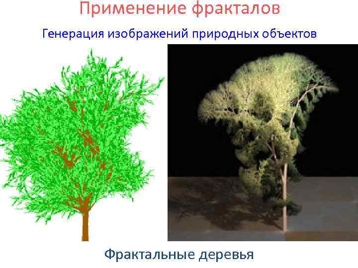 Применение фракталов Генерация изображений природных объектов Фрактальные деревья 