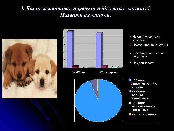 3. Какие животные первыми побывали в космосе? Назвать их клички. Назвали животных и их