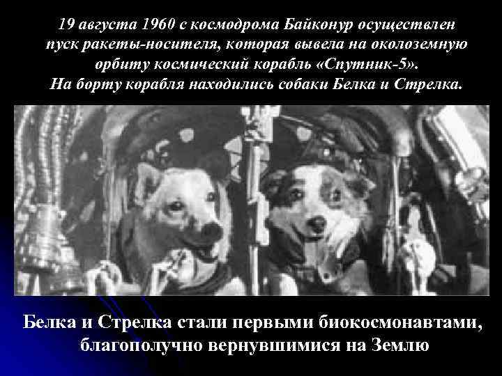 19 августа 1960 с космодрома Байконур осуществлен пуск ракеты-носителя, которая вывела на околоземную орбиту