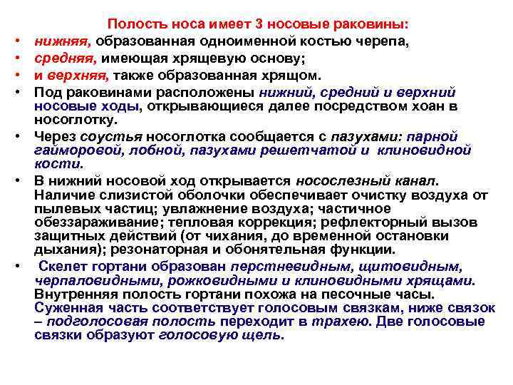  • • Полость носа имеет 3 носовые раковины: нижняя, образованная одноименной костью черепа,
