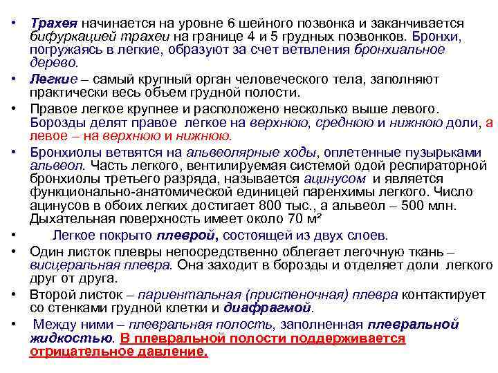  • Трахея начинается на уровне 6 шейного позвонка и заканчивается бифуркацией трахеи на