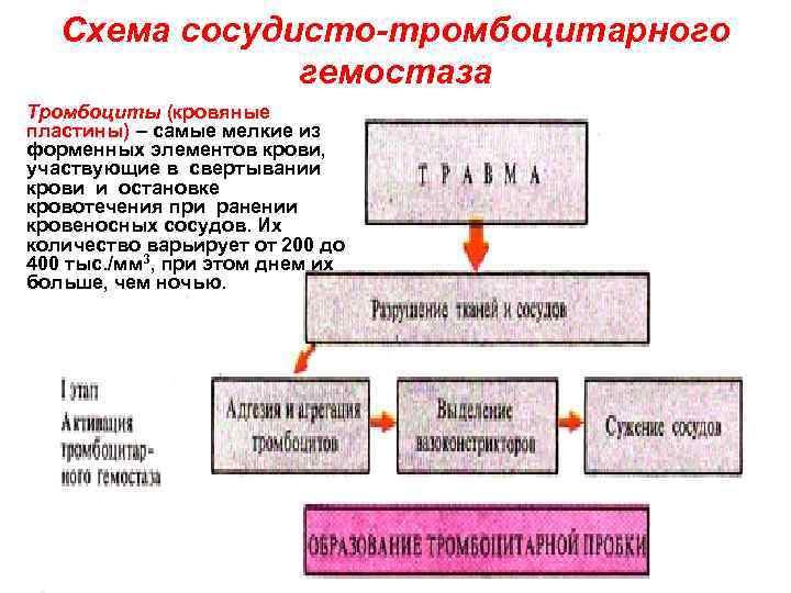 Сосудисто тромбоцитарный гемостаз схема