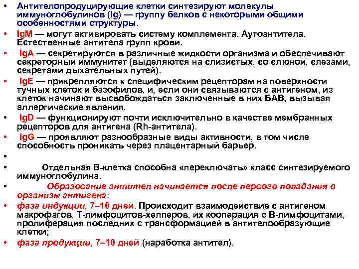  • • • Антителопродуцирующие клетки синтезируют молекулы иммуноглобулинов (Ig) — группу белков с