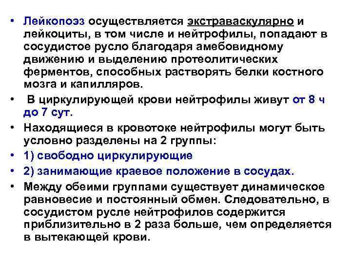  • Лейкопоэз осуществляется экстраваскулярно и лейкоциты, в том числе и нейтрофилы, попадают в