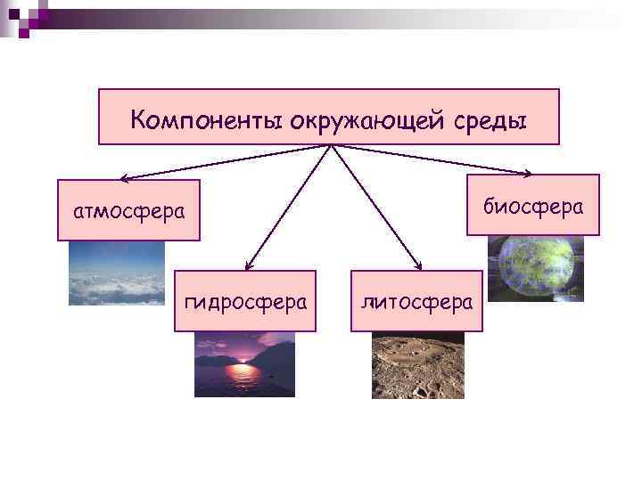 Компоненты окружающей среды биосфера атмосфера гидросфера литосфера 